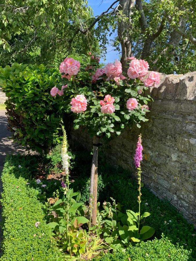 Parsnips House Bnb גלסטונברי מראה חיצוני תמונה